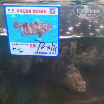 фото из отзыва ID 2740954