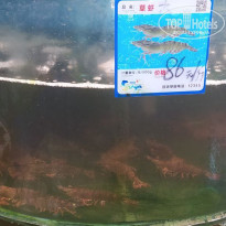 фото из отзыва ID 2740954