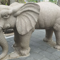 фото из отзыва ID 2740954