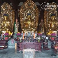 фото из отзыва ID 2740954