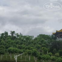 фото из отзыва ID 2740954