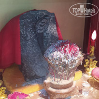 фото из отзыва ID 2740954