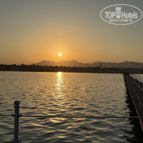 фото из отзыва ID 2740069