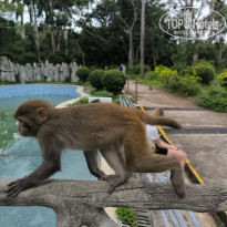 фото из отзыва ID 2740506