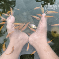 фото из отзыва ID 2740506