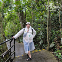 фото из отзыва ID 2740506