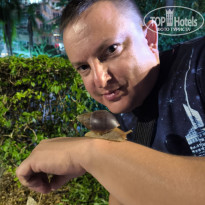 фото из отзыва ID 2740506