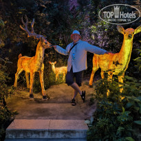 фото из отзыва ID 2740506