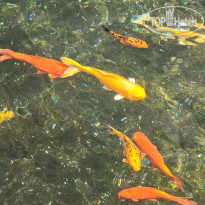 фото из отзыва ID 2740981