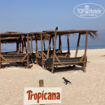 фото из отзыва ID 2740988