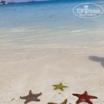 фото из отзыва ID 2740988