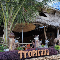 фото из отзыва ID 2740988