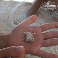 фото из отзыва ID 2741006