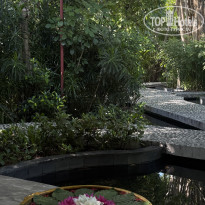 фото из отзыва ID 2741006