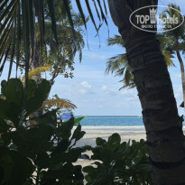 фото из отзыва ID 2741006