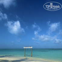 фото из отзыва ID 2741006