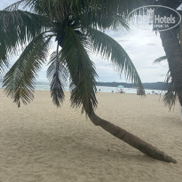 фото из отзыва ID 2741008