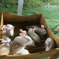 фото из отзыва ID 2741008