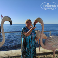 фото из отзыва ID 2741011