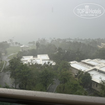 фото из отзыва ID 2741016