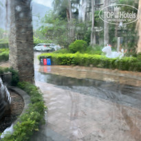 фото из отзыва ID 2741016