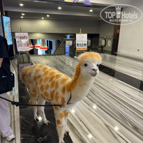 фото из отзыва ID 2741016