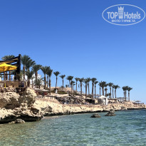 фото из отзыва ID 2741010