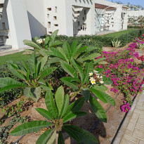 фото из отзыва ID 2741013