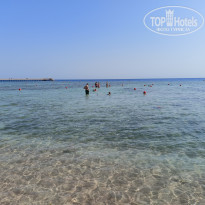 фото из отзыва ID 2741013