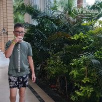 фото из отзыва ID 2741040