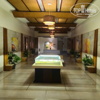 фото из отзыва ID 2741066