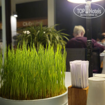 фото из отзыва ID 2741066