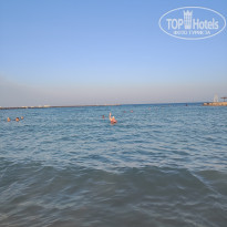 фото из отзыва ID 2741073