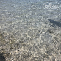 фото из отзыва ID 2741096