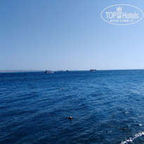 фото из отзыва ID 2741133