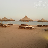 фото из отзыва ID 2741175