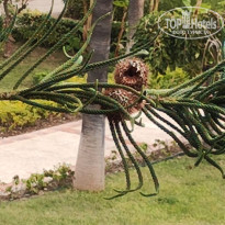 фото из отзыва ID 2741183