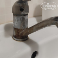 фото из отзыва ID 2741184