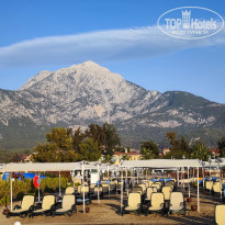 фото из отзыва ID 2741191