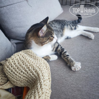 фото из отзыва ID 2741191