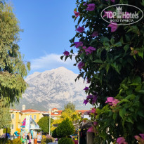 фото из отзыва ID 2741191