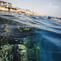 фото из отзыва ID 2741201