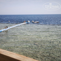 фото из отзыва ID 2741201