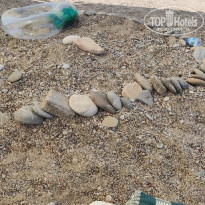 фото из отзыва ID 2741206