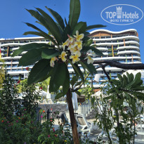 фото из отзыва ID 2740486