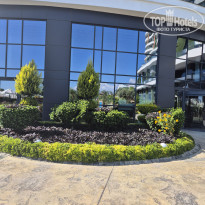 фото из отзыва ID 2740486