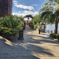 фото из отзыва ID 2740486