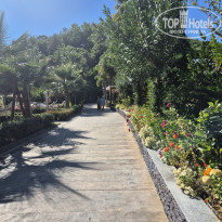 фото из отзыва ID 2740486