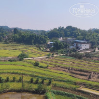 фото из отзыва ID 2741234