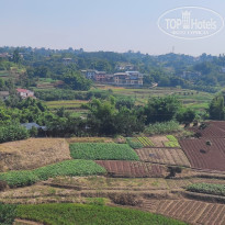 фото из отзыва ID 2741234